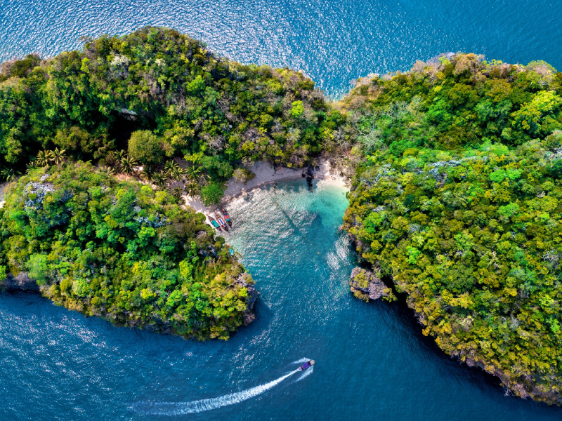 Discover "Biodiversity in Paradise" – A Journey Through Raja Ampat ...