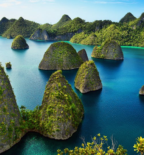 Raja Ampat galery
